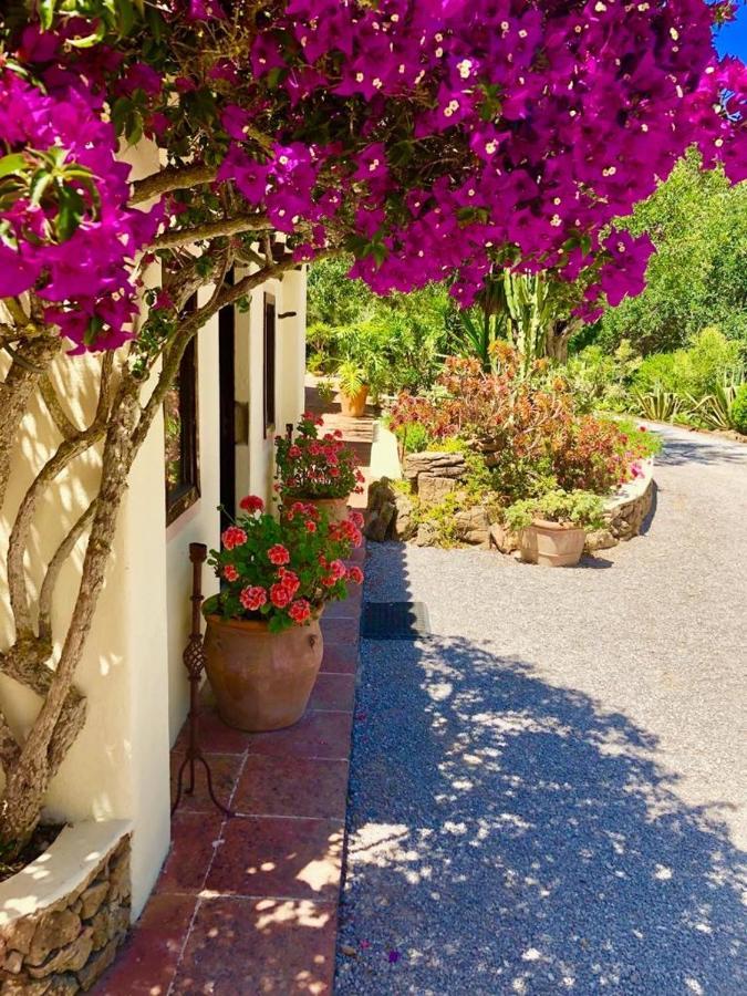 Agroturismo Can Talaias San Carlos Ес-Кана Екстер'єр фото